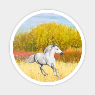 White Horse in Autumn Magnet